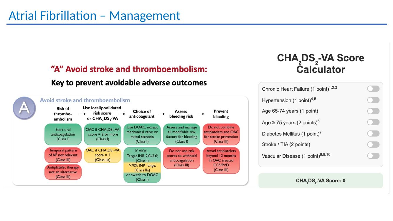 Atrial fibrillation management